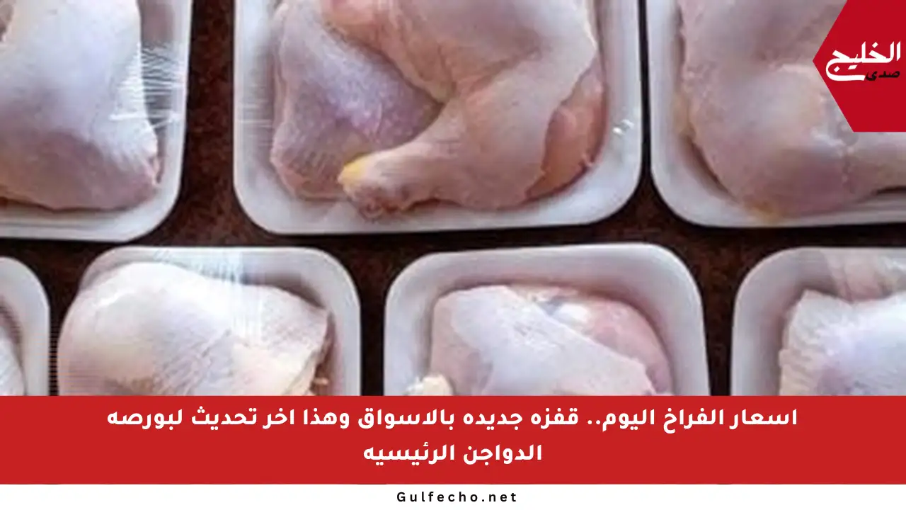 أسعار الفراخ اليوم.. قفزة جديدة بالأسواق وهذا آخر تحديث لبورصة الدواجن الرئيسية